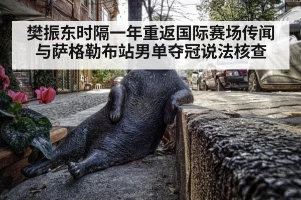 樊振东时隔一年重返国际赛场传闻与萨格勒布站男单夺冠说法核查
